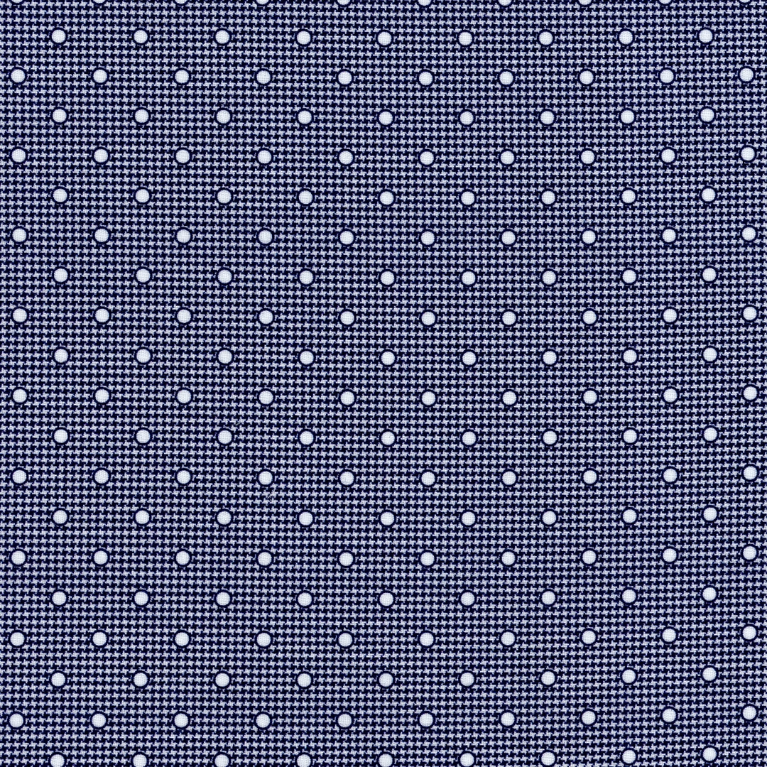 White & Blue Dotted